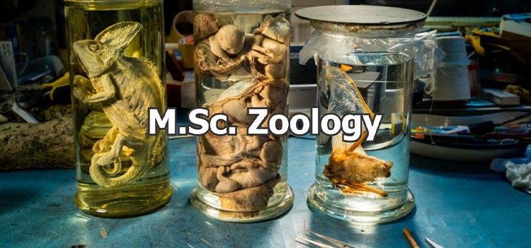 msc zoology research topics